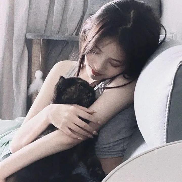 犬爱奇缘